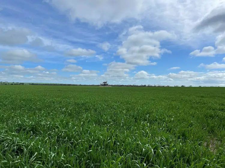 Third view of Homely rural property listing, 374 Melton Pontifex Rd, Melton SA 5552