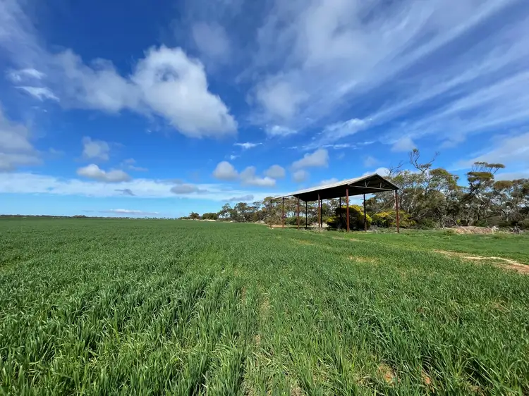 Fourth view of Homely rural property listing, 374 Melton Pontifex Rd, Melton SA 5552
