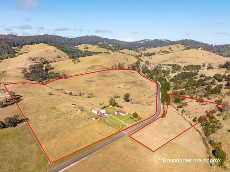 Second view of Homely rural property listing, 790 Nethercote Rd, Nethercote NSW 2549