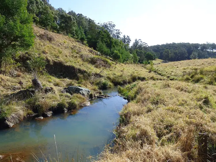 Third view of Homely rural property listing, 790 Nethercote Rd, Nethercote NSW 2549