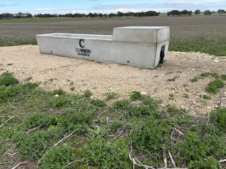 Fifth view of Homely rural property listing, Sect 372 - 377 Riddoch Highway, Naracoorte SA 5271