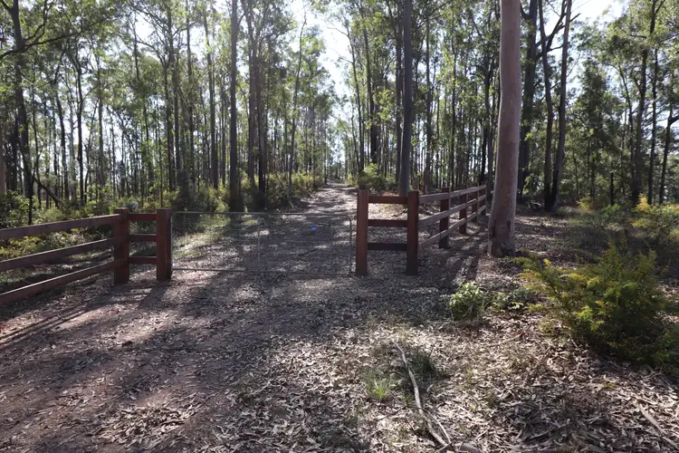 Second view of Homely rural property listing, Lot 41 Collombatti Road, Collombatti NSW 2440