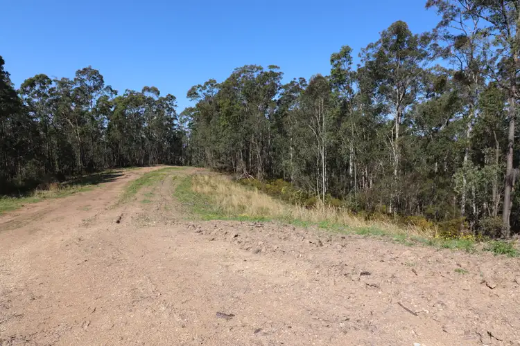 Third view of Homely rural property listing, Lot 41 Collombatti Road, Collombatti NSW 2440