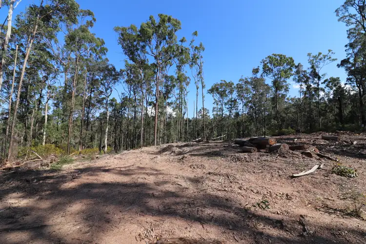 Fifth view of Homely rural property listing, Lot 41 Collombatti Road, Collombatti NSW 2440