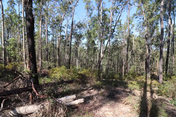 Sixth view of Homely rural property listing, Lot 41 Collombatti Road, Collombatti NSW 2440
