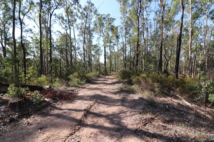 Seventh view of Homely rural property listing, Lot 41 Collombatti Road, Collombatti NSW 2440