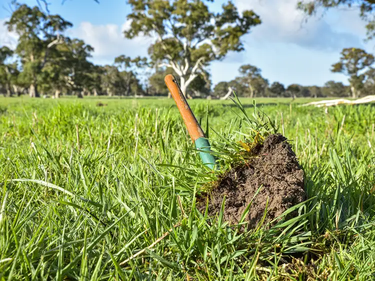 344 Krongart Road, Penola SA 5277
