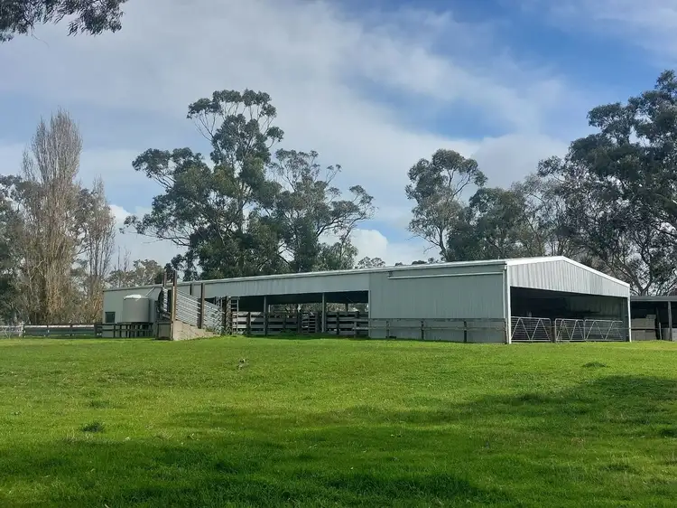 Seventh view of Homely rural property listing, 344 Krongart Road, Penola SA 5277