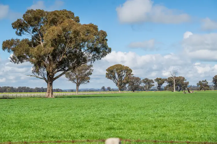 Third view of Homely rural property listing, 'Spring Lagoon'/487 Maloney Rd, Burrumbuttock NSW 2642