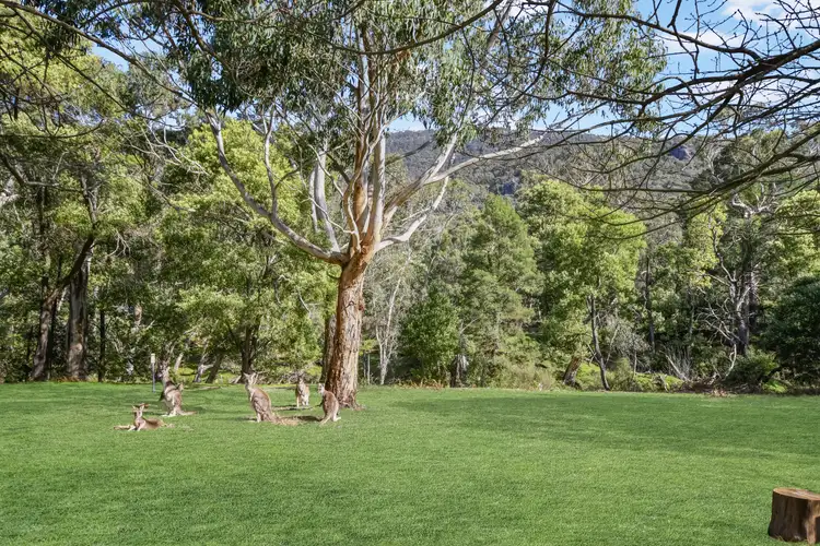 Fifth view of Homely land listing, 32 Bundaleer Drive, Halls Gap VIC 3381