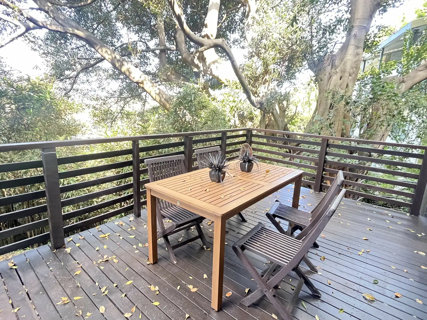 Main view of Homely apartment listing, 8A Seaview St, Waverley NSW 2024