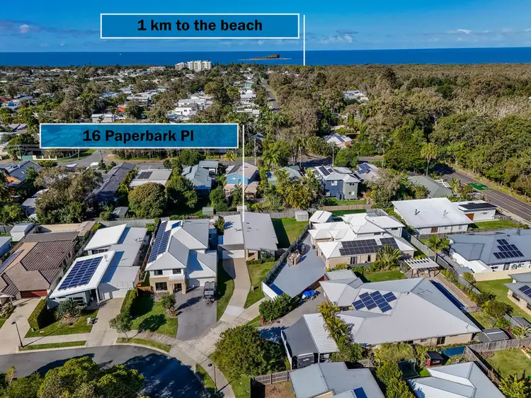 Second view of Homely house listing, 16 Paperbark Pl, Mudjimba QLD 4564