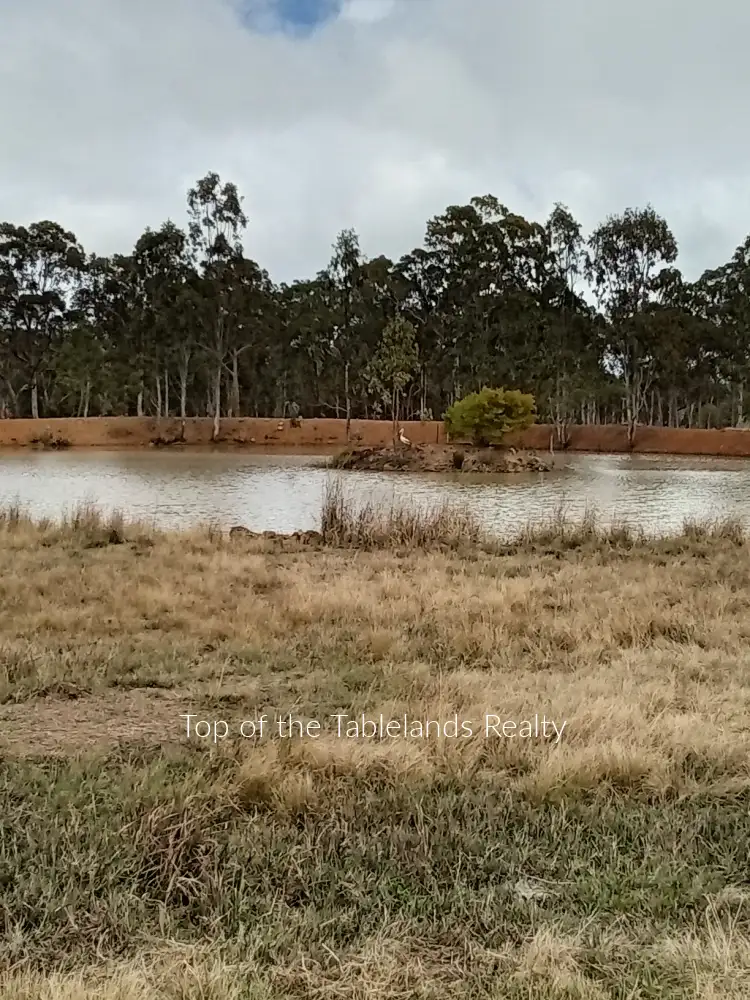 Second view of Homely rural property listing, 13922 Kennedy Hwy, Millstream QLD 4888