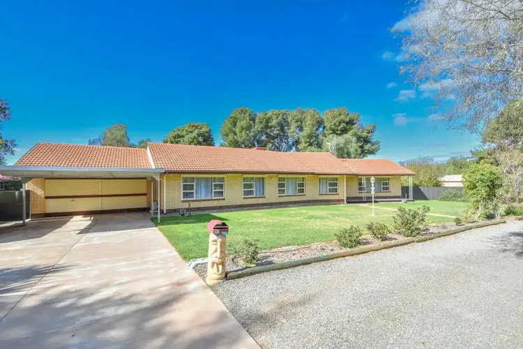 Main view of Homely house listing, 31 West Tce, Gladstone SA 5473