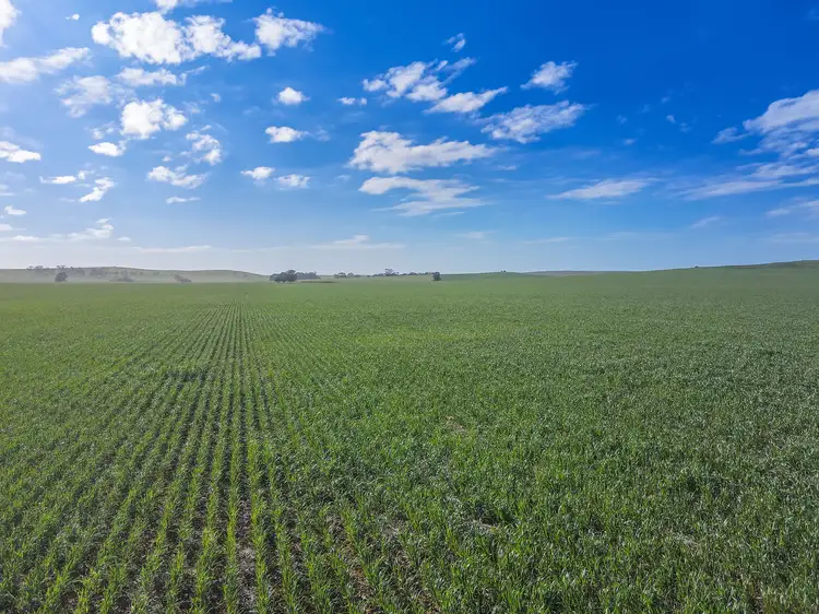 Second view of Homely rural property listing, 'The Block' Section Smart Road, Belalie North SA 5491