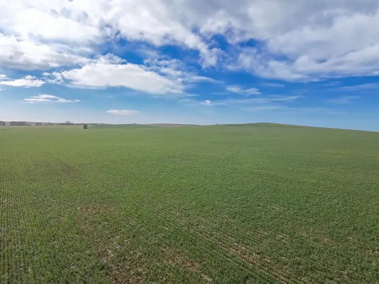 Third view of Homely rural property listing, 'The Block' Section Smart Road, Belalie North SA 5491
