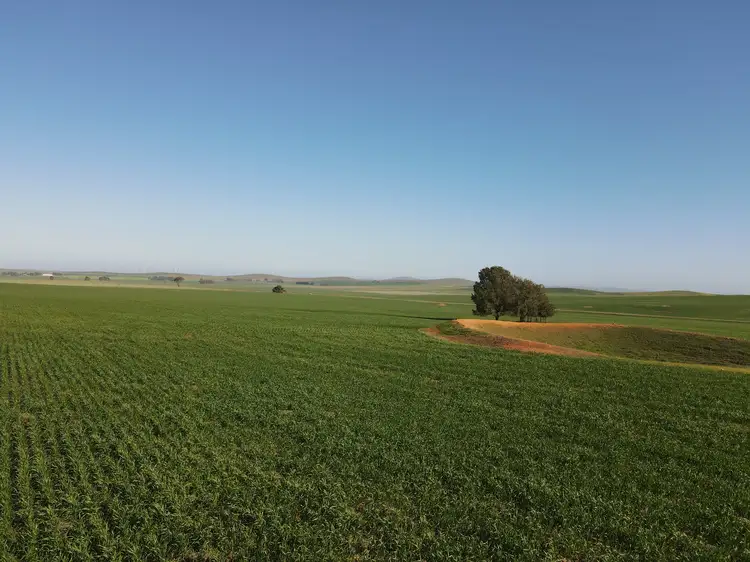 Fourth view of Homely rural property listing, 'The Block' Section Smart Road, Belalie North SA 5491