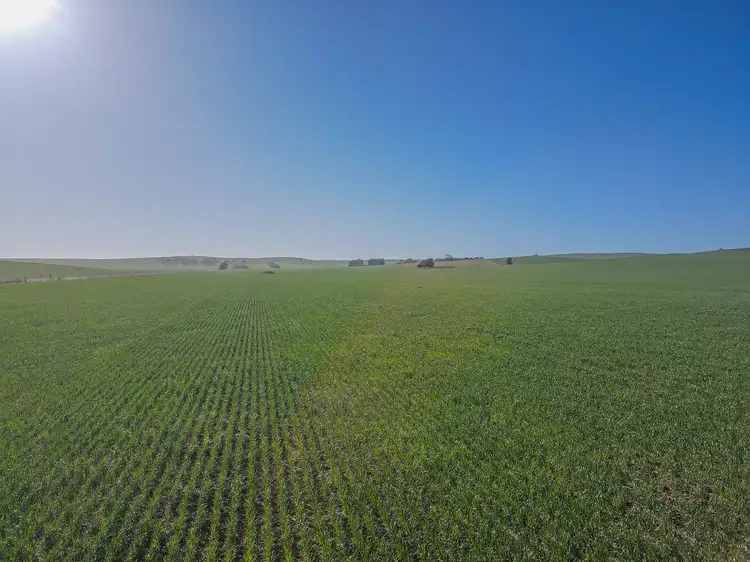 Fifth view of Homely rural property listing, 'The Block' Section Smart Road, Belalie North SA 5491
