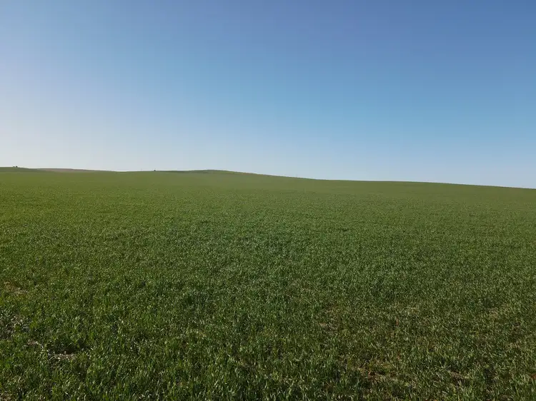 Sixth view of Homely rural property listing, 'The Block' Section Smart Road, Belalie North SA 5491