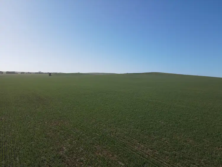 Seventh view of Homely rural property listing, 'The Block' Section Smart Road, Belalie North SA 5491