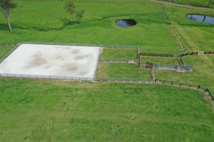 Seventh view of Homely rural property listing, 18109 Clarence Way, Woodenbong NSW 2476