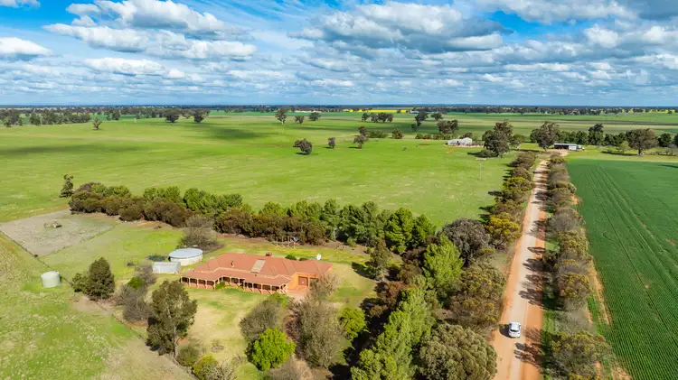 'Clearview'/185 Coreen School Rd, Coreen NSW 2646