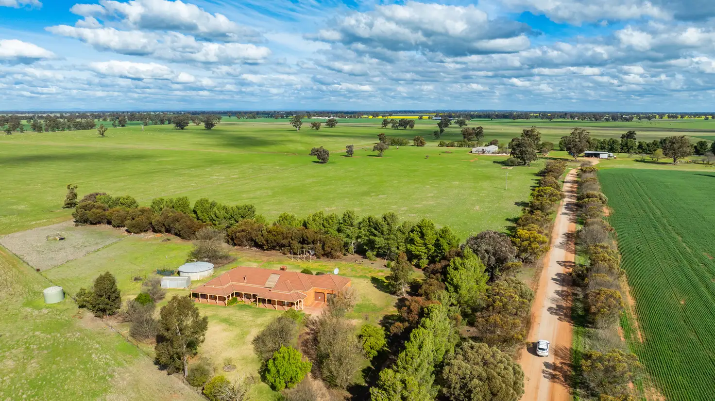 Main view of Homely rural property listing, 'Clearview'/185 Coreen School Rd, Coreen NSW 2646