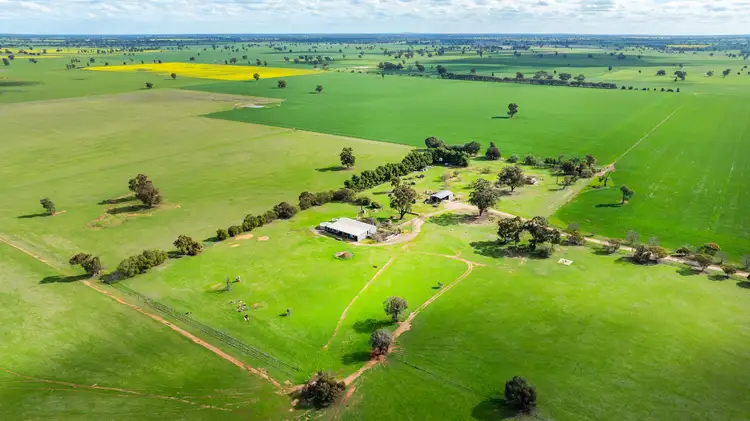 Fourth view of Homely rural property listing, 'Clearview'/185 Coreen School Rd, Coreen NSW 2646
