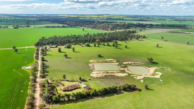 Fifth view of Homely rural property listing, 'Clearview'/185 Coreen School Rd, Coreen NSW 2646