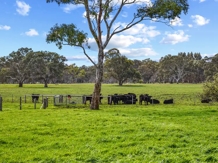 Fifth view of Homely rural property listing, 1178 Old Kalangadoo Rd, Monbulla SA 5277