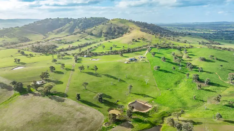 Fourth view of Homely rural property listing, 'Savannah'/333 Morrice Lane, Mullengandra NSW 2644