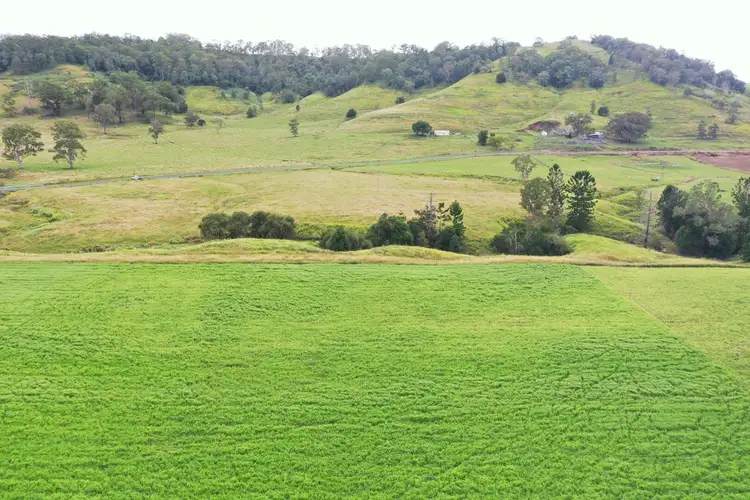 Second view of Homely rural property listing, 590 Rock Valley Rd, Lismore NSW 2480