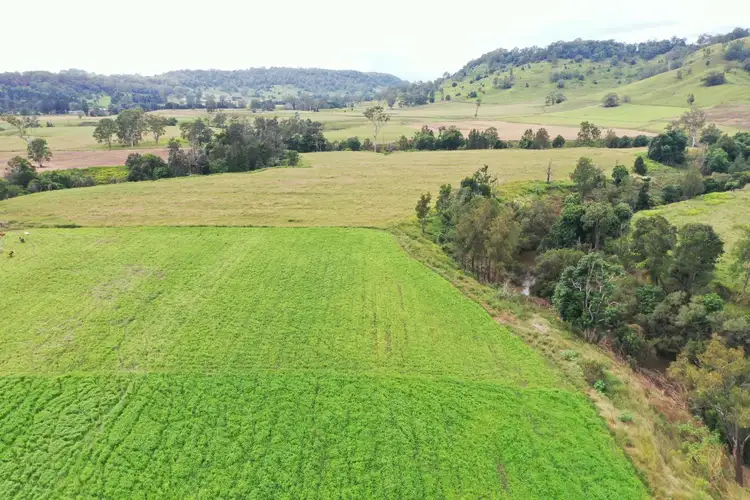 Third view of Homely rural property listing, 590 Rock Valley Rd, Lismore NSW 2480