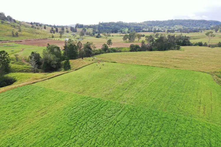 Fourth view of Homely rural property listing, 590 Rock Valley Rd, Lismore NSW 2480