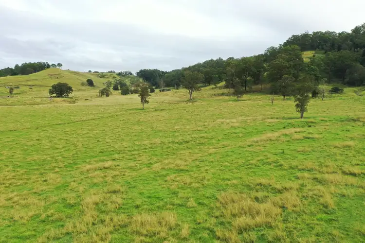 Fifth view of Homely rural property listing, 590 Rock Valley Rd, Lismore NSW 2480