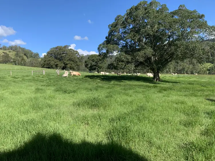Third view of Homely rural property listing, 537 Horseshoe Creek Rd, Kyogle NSW 2474