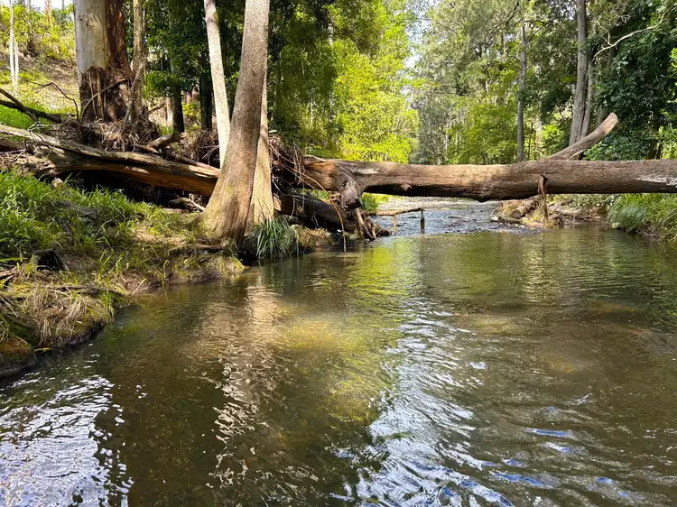 Sixth view of Homely rural property listing, 537 Horseshoe Creek Rd, Kyogle NSW 2474