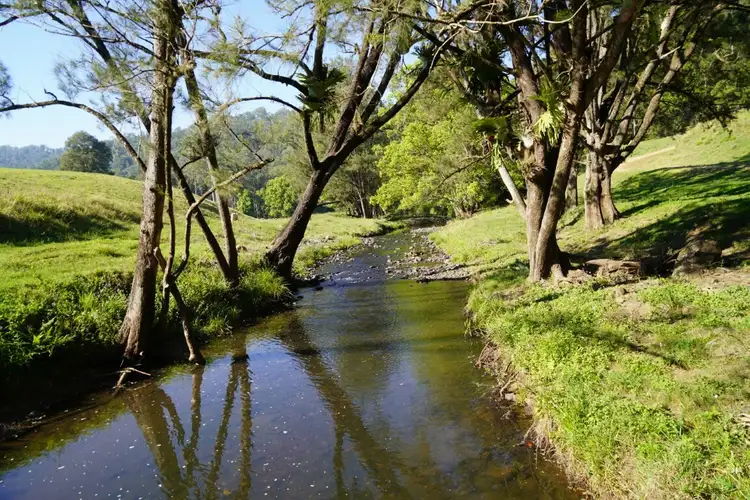 Seventh view of Homely rural property listing, 537 Horseshoe Creek Rd, Kyogle NSW 2474