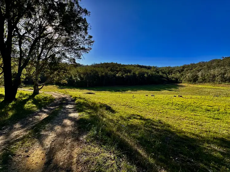 Second view of Homely rural property listing, 3300 Great North Road, Wollombi NSW 2325
