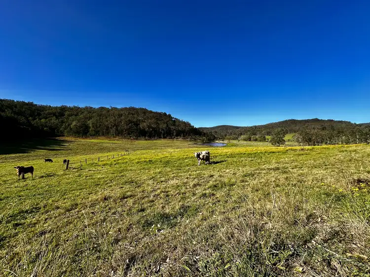 Seventh view of Homely rural property listing, 3300 Great North Road, Wollombi NSW 2325
