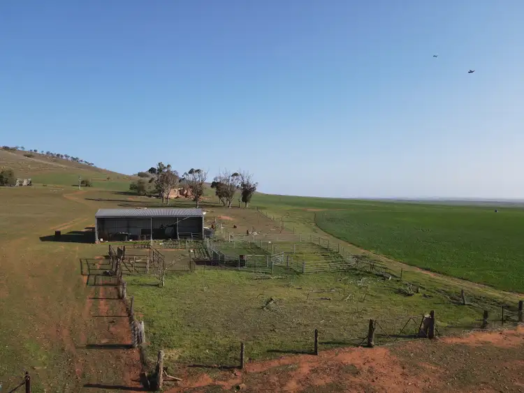 Seventh view of Homely rural property listing, 274E Melrose Road, Pekina SA 5431
