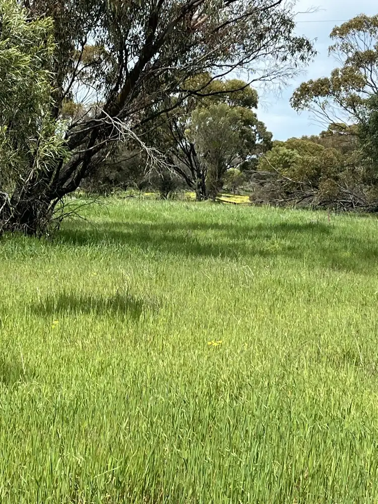 Main view of Homely rural property listing, Lot 14438 & 14439 Yarramony Road, Jennacubbine WA 6401