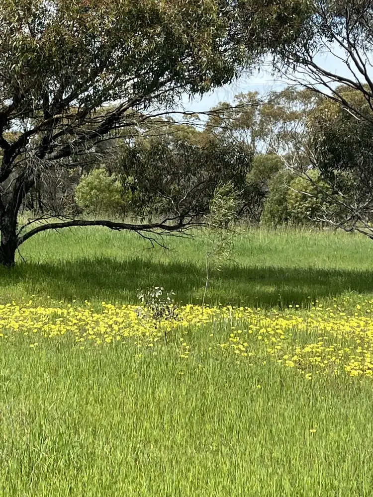 Third view of Homely rural property listing, Lot 14438 & 14439 Yarramony Road, Jennacubbine WA 6401