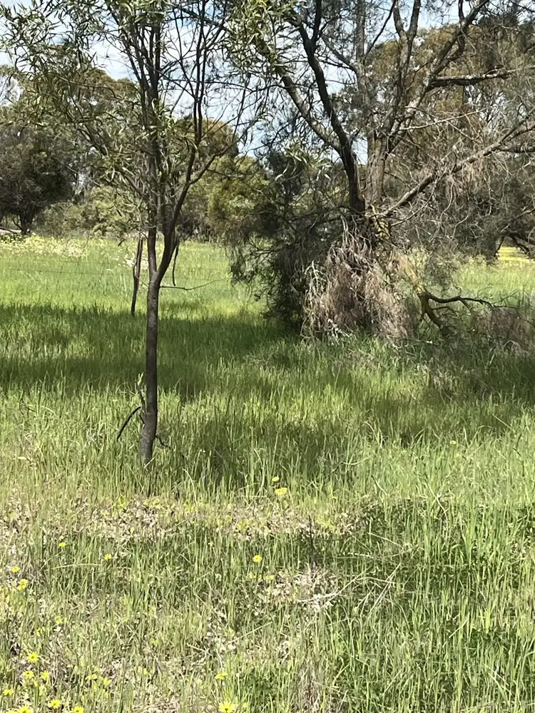Fourth view of Homely rural property listing, Lot 14438 & 14439 Yarramony Road, Jennacubbine WA 6401