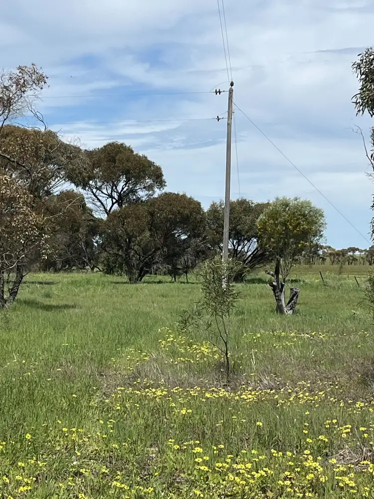 Sixth view of Homely rural property listing, Lot 14438 & 14439 Yarramony Road, Jennacubbine WA 6401