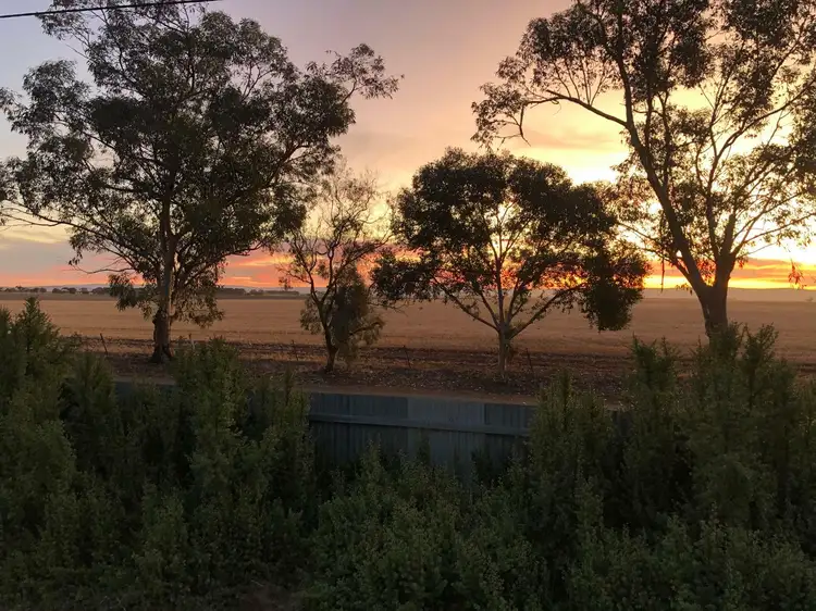Lot 847 William Street, Brinkworth SA 5464