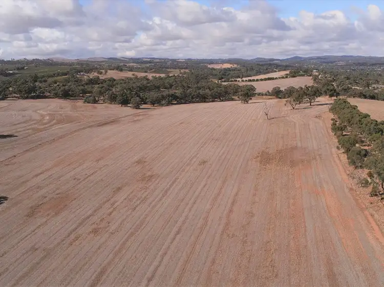 Lot 2 Koorama Road, Stanley Flat SA 5453