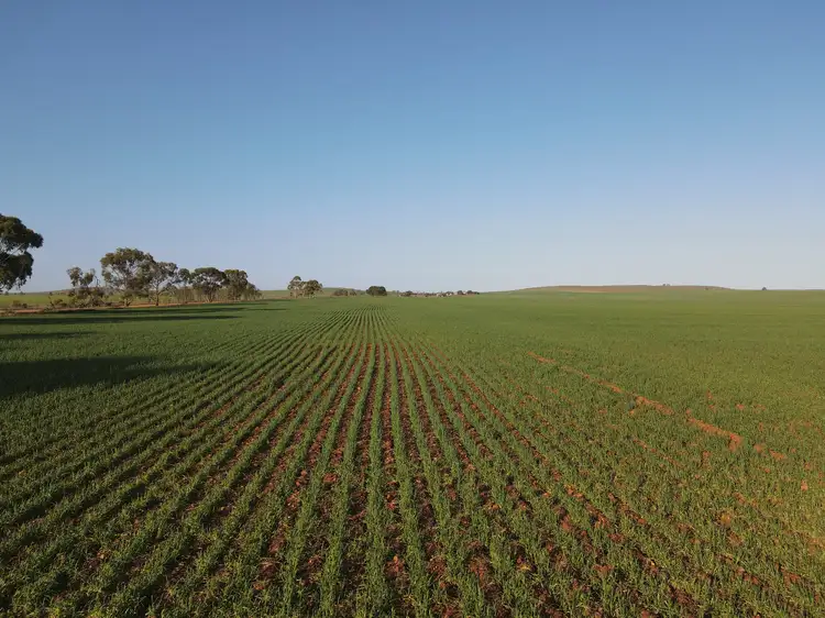 Second view of Homely rural property listing, 222 Nicholls Rd, Booleroo Centre SA 5482