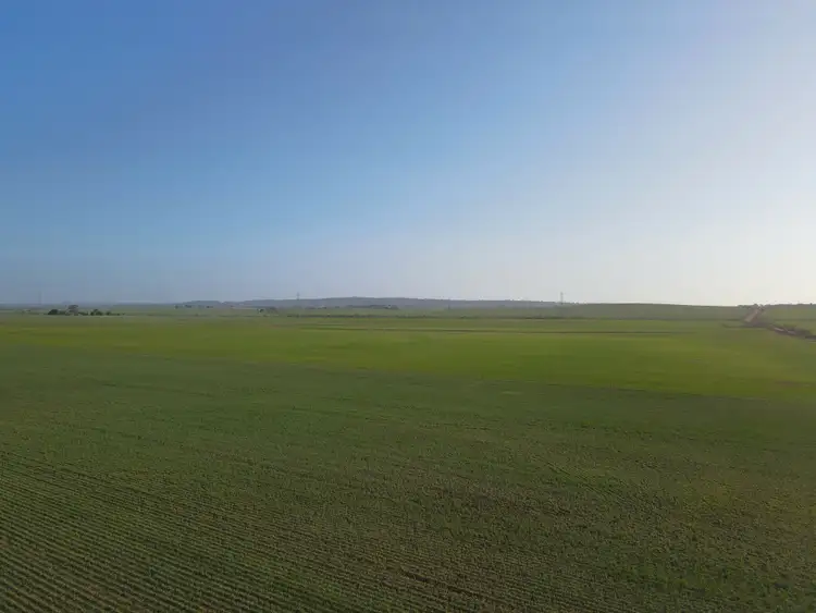 Third view of Homely rural property listing, 222 Nicholls Rd, Booleroo Centre SA 5482