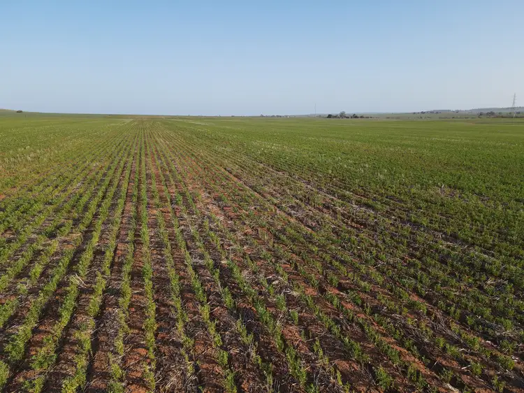 Fourth view of Homely rural property listing, 222 Nicholls Rd, Booleroo Centre SA 5482